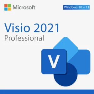 Mirosoft Visio 2021 professional for 1 PC - FLIXEASY