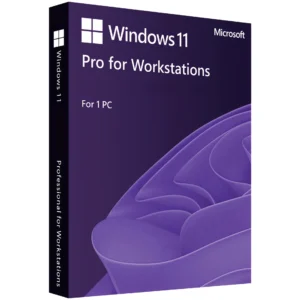 Microsoft Windows 11 Professional for Workstations - FLIXEASY