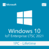 Microsoft Windows 10 IoT Enterprise LTSC 2021 - Lifetime License For 1 PC