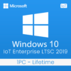 Microsoft Windows 10 IoT Enterprise LTSC 2019 - Lifetime License For 1PC