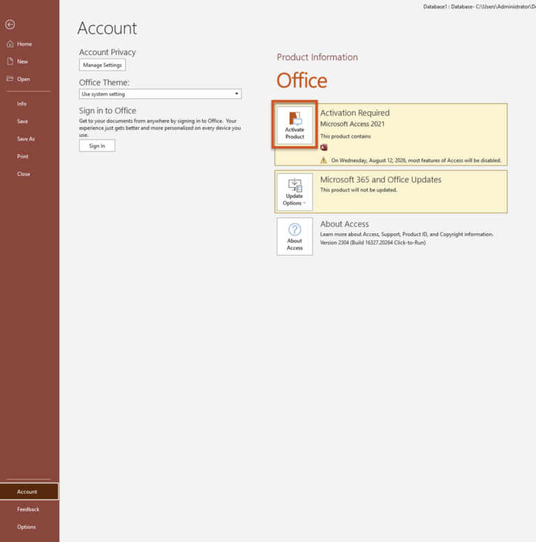 Microsoft Access 2021 Download: How to Install & Activate on Windows 10