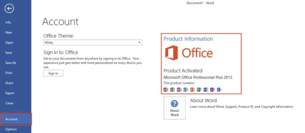 Office 2013 Professional Plus Download: How to Install & Activate 13