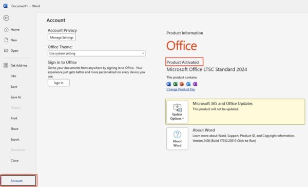 Office 2024 Standard LTSC Download: How to Install & Activate 9