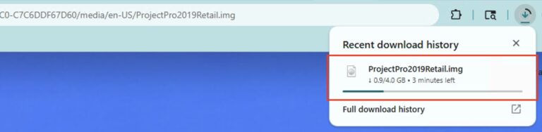 Microsoft Project 2019 Download: How to Install & Activate on Windows 1