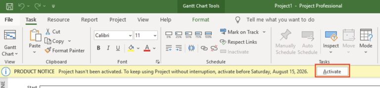 Microsoft Project 2019 Download: How to Install & Activate on Windows 11